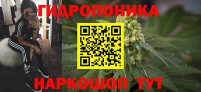 ГАЛЛЮЦИНОГЕННЫЕ ГРИБЫ Конаково