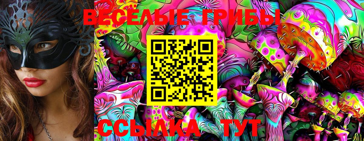 Галлюциногенные грибы GOLDEN TEACHER  Псилоцибиновые грибы Magic Shrooms  Буйнакск  Вход с VPN 